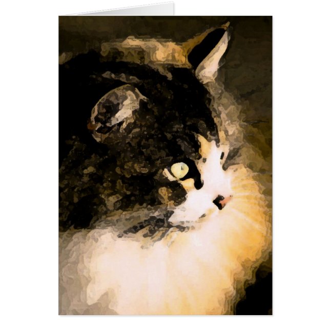 猫カード (正面)