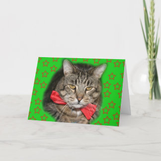 猫カード カード