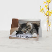 猫カー恋しく思ドの理由 カード (黄色い花)