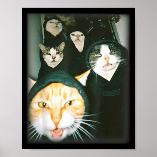 猫ギャングのミーム 楽しい混沌とした猫たち 常軌を逸した猫のユーモアH ポスター (正面)