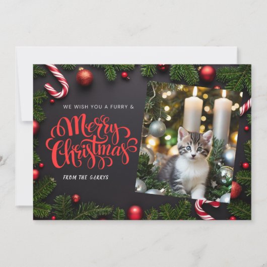 猫クリスマスのホリデーカード シーズンカード (正面)