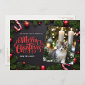 猫クリスマスのホリデーカード シーズンカード (正面/裏面)