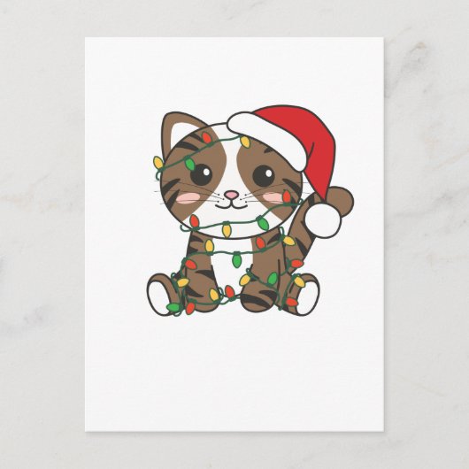 猫クリスマス冬の動物たち シーズンポストカード (正面)