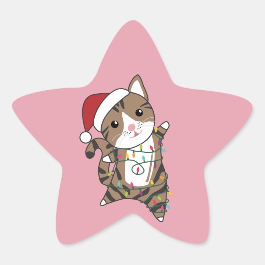 猫クリスマス雪の冬の動物キャッツスタースティッキ 星シール (正面)