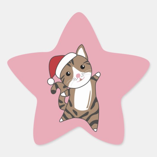 猫クリスマス雪の冬の動物キャッツスタースティッキ 星シール (正面)