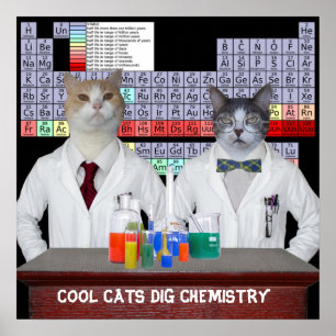 猫クールが化学を掘る ポスター