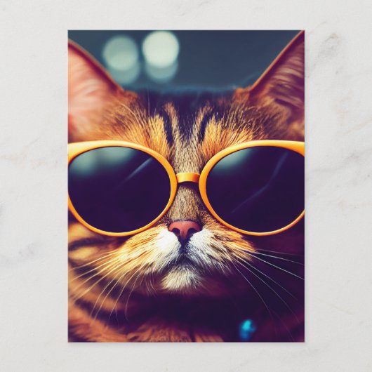 猫クールサングラスはがき ポストカード (正面)
