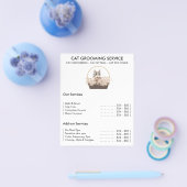 猫グルーミングサーミニマルビス チラシ (シングル)