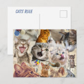 猫コラージュ ポストカード (正面/裏面)