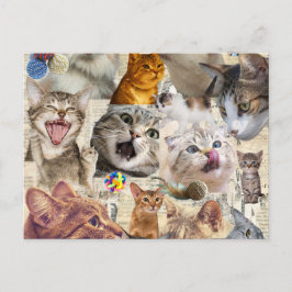猫コラージュ ポストカード