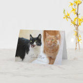 猫サンキューカード カード (黄色い花)