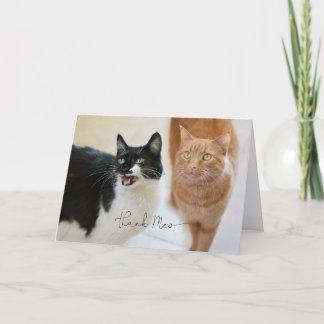 猫サンキューカード カード