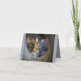 猫サンキューカード サンキューカード