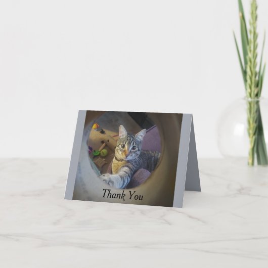 猫サンキューカード サンキューカード (正面)