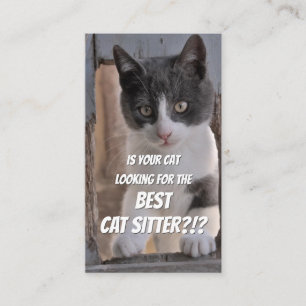 猫シッおもしろいター気にのペットケアサービス会社 名刺