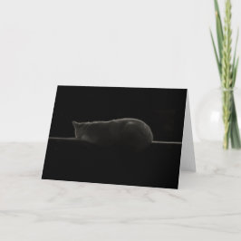 猫シルエット カード