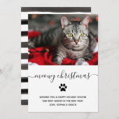 猫シンプルのおおもしろいめでとう |写真 シーズンカード (正面/裏面)