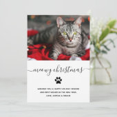 猫シンプルのおおもしろいめでとう |写真 シーズンカード (スタンド正面)