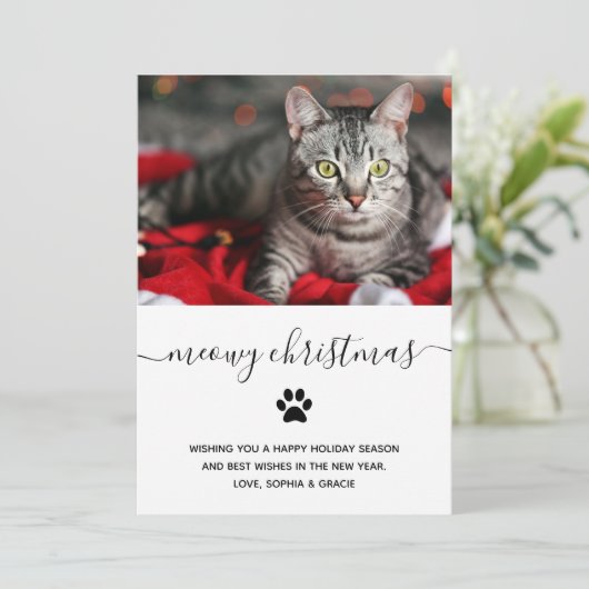 猫シンプルのおおもしろいめでとう |写真 シーズンカード (スタンド正面)