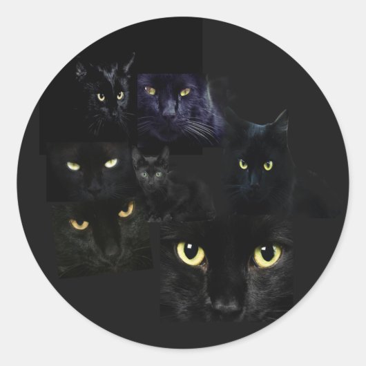 猫シール ラウンドシール (正面)