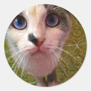 猫シール ラウンドシール