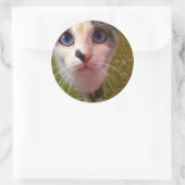 猫シール ラウンドシール (バッグ)