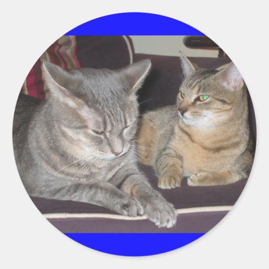 猫シール ラウンドシール (正面)