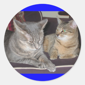 猫シール ラウンドシール