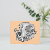 猫スカル ポストカード (スタンド正面)