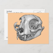 猫スカル ポストカード (正面/裏面)