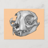 猫スカル ポストカード (正面)