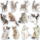 猫ステッカーコレクション シール (正面)