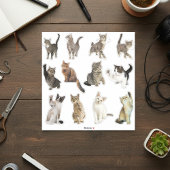猫ステッカーコレクション シール