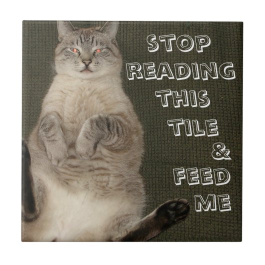 猫ストップの読こ食べ物を与えのタイル タイル (正面)