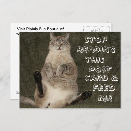 猫ストップの読ハガキと私のハガキ ポストカード (正面/裏面)