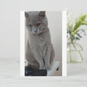 猫テスト 招待状 (スタンド正面)