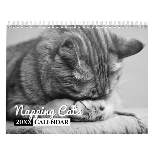 猫ナッピング写真ウォールカレンダー カレンダー (カバー)