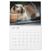 猫ナッピング写真ウォールカレンダー カレンダー (3月 2027)