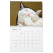 猫ナッピング写真ウォールカレンダー カレンダー (2月 2027)