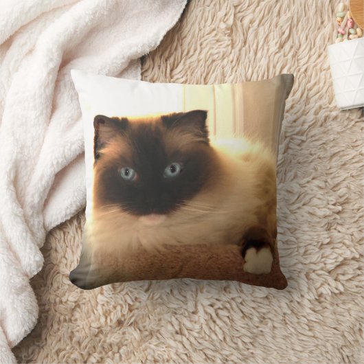 猫ネコのラグドール青い目の枕 クッション (ブランケット)