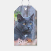 猫ネコ動物 ギフトタグ (正面)