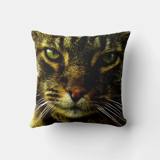 猫ハイプニタイズアイズ写真 クッション (裏面)