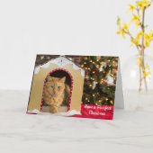 猫ハウスでクリスマスのかわいい猫を飼う カード (黄色い花)