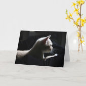 猫ハッピーバースデーカード カード (黄色い花)