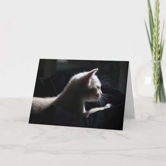 猫ハッピーバースデーカード カード (正面)