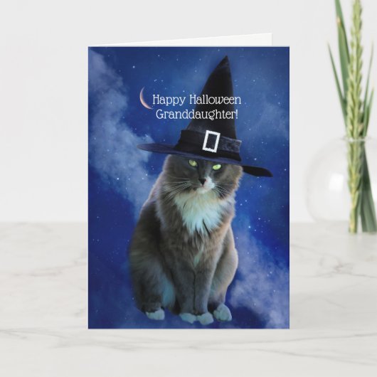 猫ハロウィンの孫娘すごいかわいい カード (正面)
