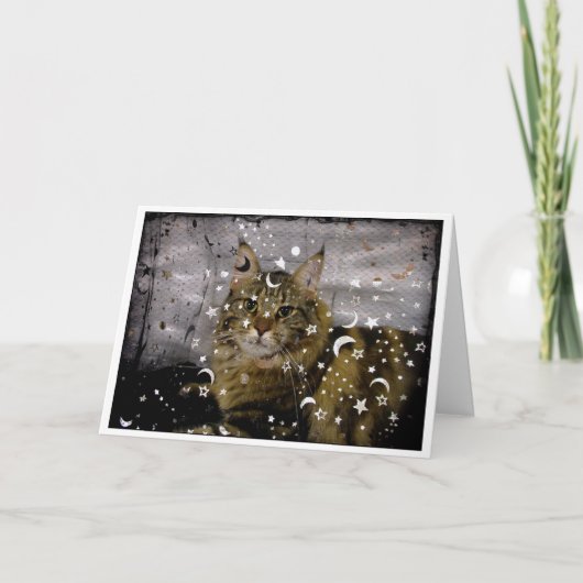 猫ハロウィーンまたは任意の大事な行事グリーティングカード カード (正面)