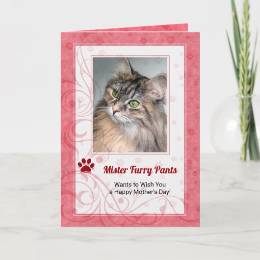 猫バラの母の日の写真 カード (正面)