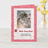 猫バラの母の日の写真 カード (黄色い花)