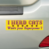 猫バンパーステッカーを見た バンパーステッカー (車上)